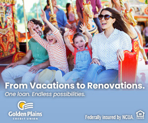 From Vacations to Renovations